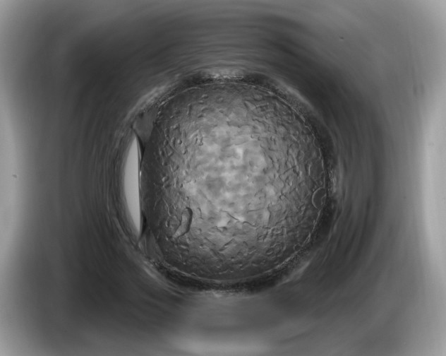 X0000086220733200704121856