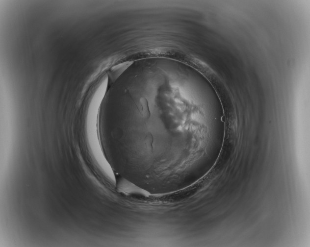 X0000086220734200704121856