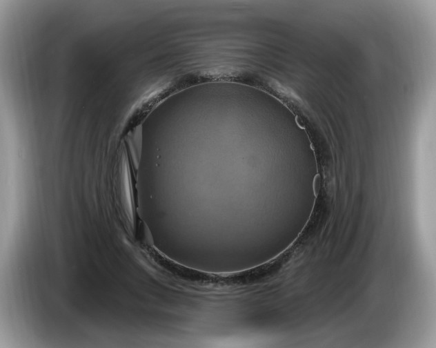 X0000086220735200704121856