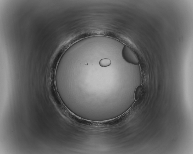 X0000086220736200704121856