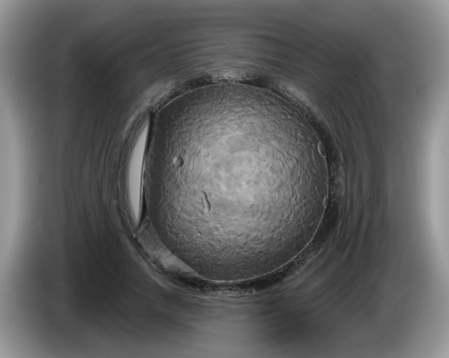 X0000086220738200704121856