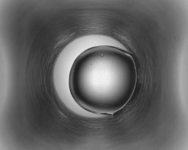 X0000086220740200704121856