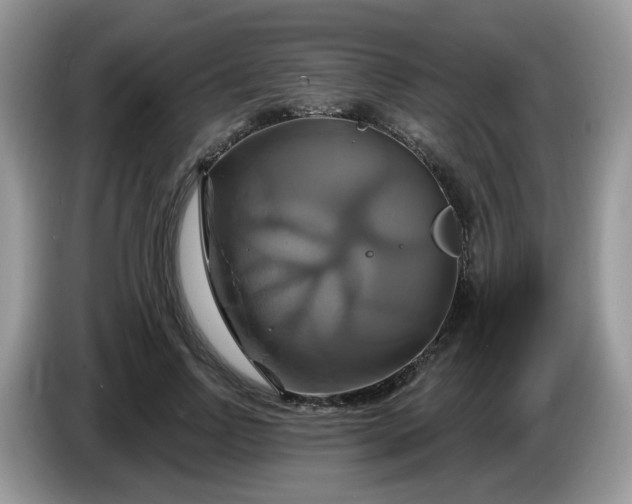 X0000086220742200704121856