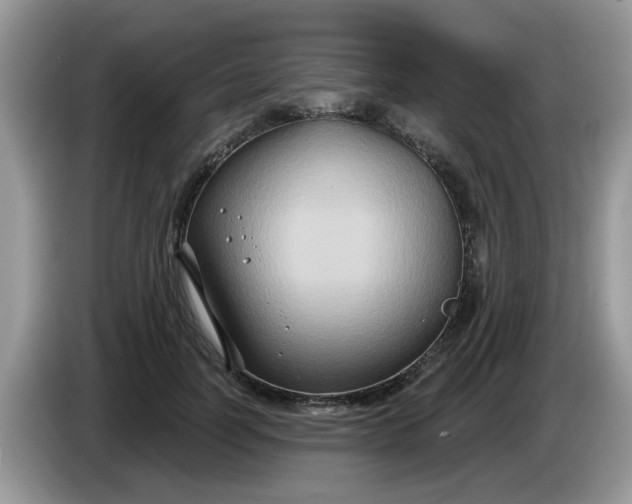 X0000086220746200704121857