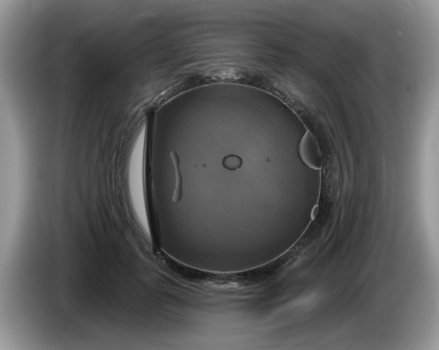 X0000086220747200704121857