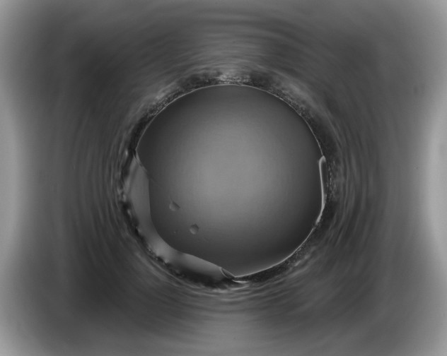 X0000086220748200704121857