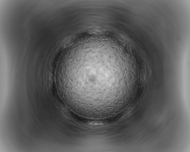 X0000086220749200704121857