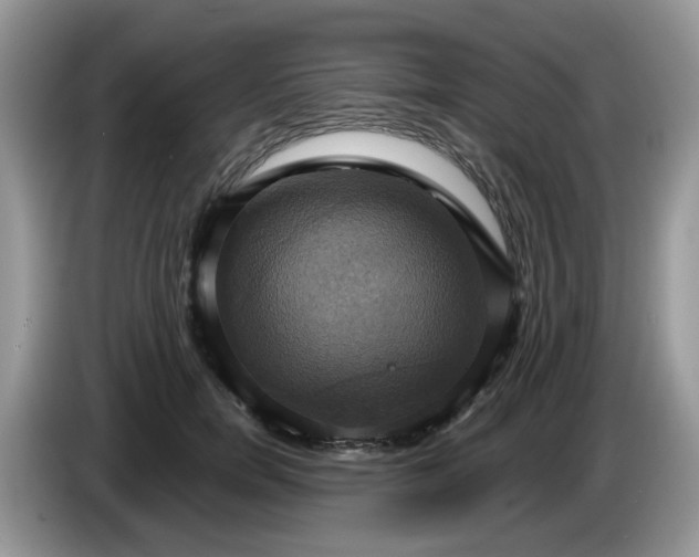 X0000086220750200704121857