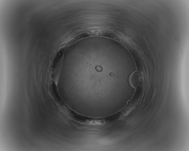 X0000086220751200704121857