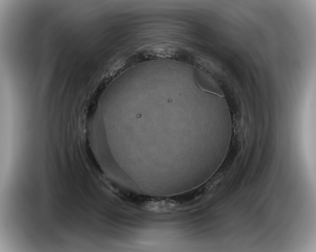 X0000086220752200704121857