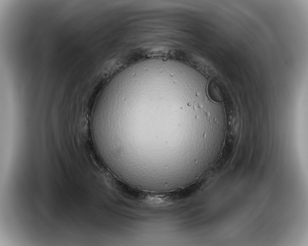 X0000086220753200704121857