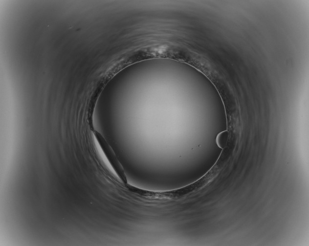 X0000086220754200704121857