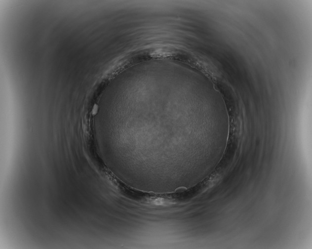 X0000086220755200704121857