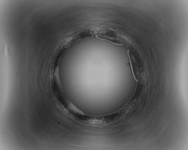 X0000086220756200704121857