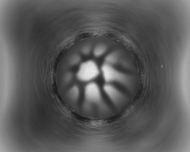 X0000086220757200704121857