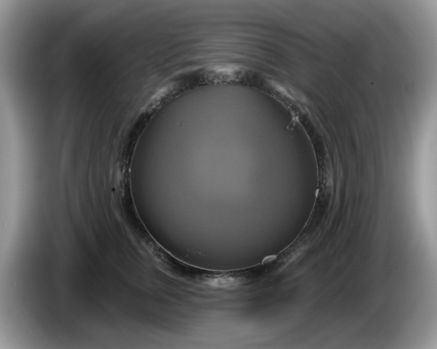 X0000086220759200704121857