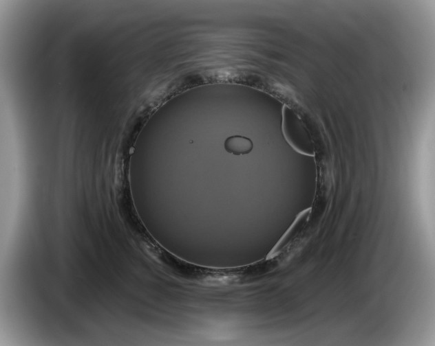 X0000086220760200704121857