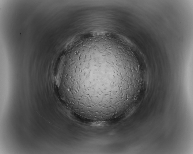 X0000086220761200704121857