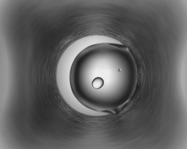 X0000086220762200704121857