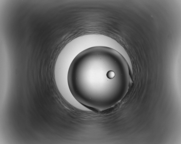 X0000086220764200704121857