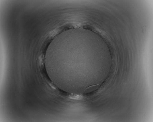 X0000086220768200704121857