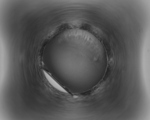 X0000086220772200704121856