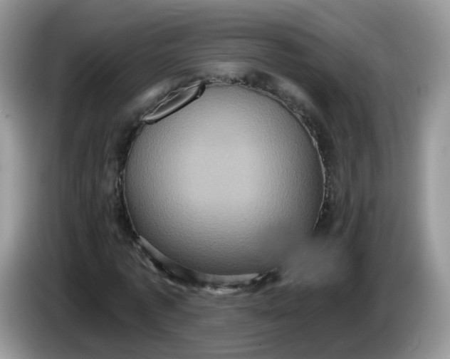 X0000086220773200704121856