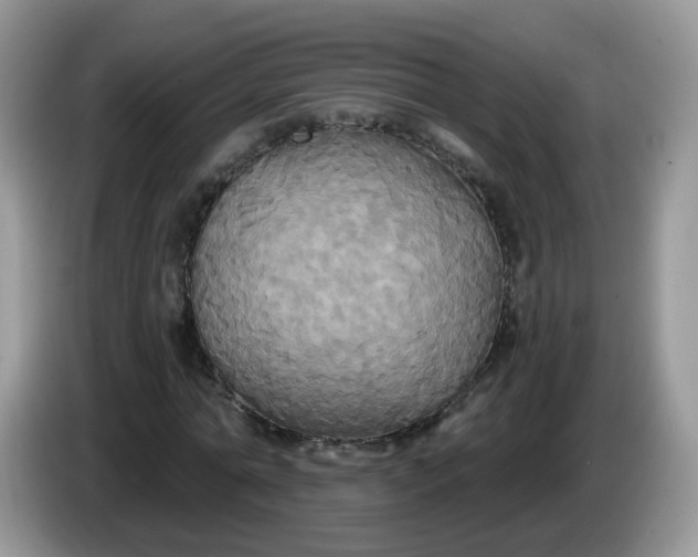 X0000086220774200704121856