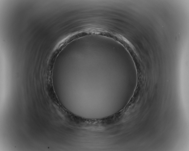 X0000086220775200704121856