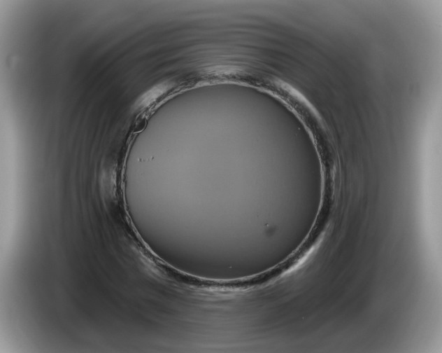 X0000086220777200704121856