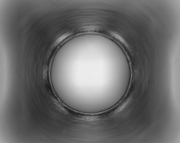 X0000086220778200704121856