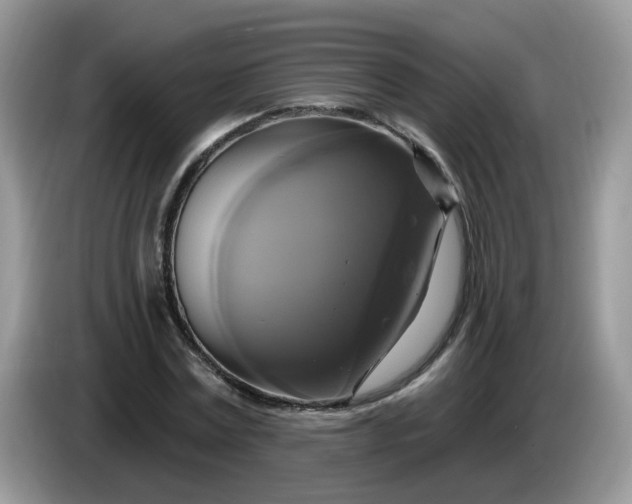 X0000086220779200704121856