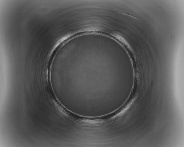 X0000086220781200704121856