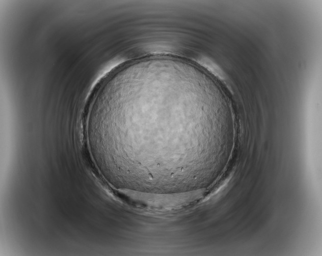 X0000086220782200704121856