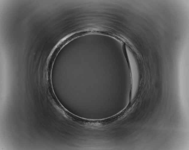 X0000086220784200704121856