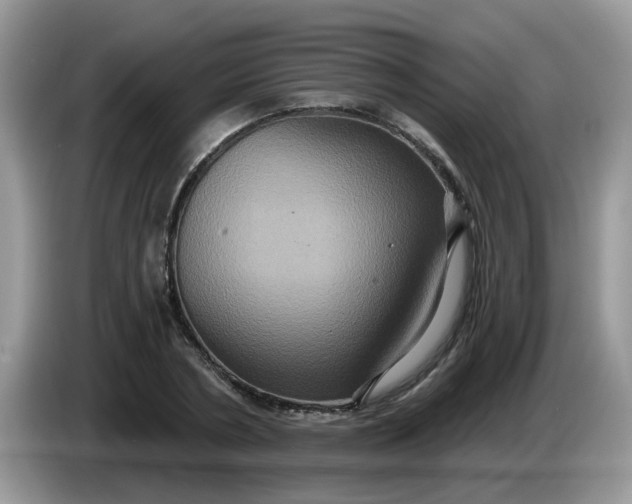 X0000086220786200704121856