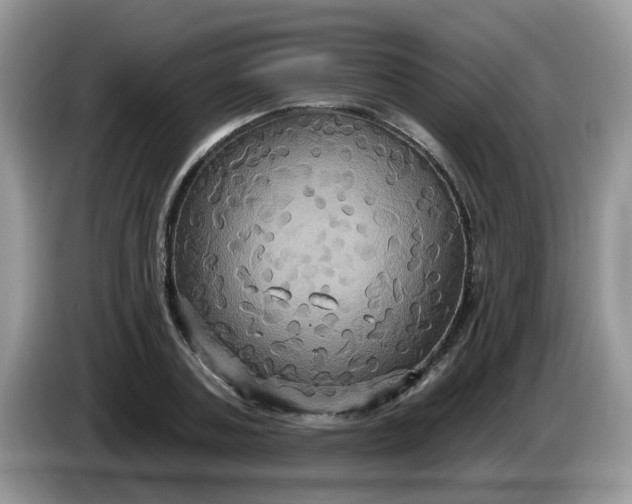 X0000086220787200704121856