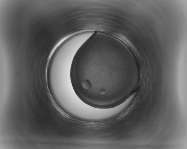 X0000086220788200704121856