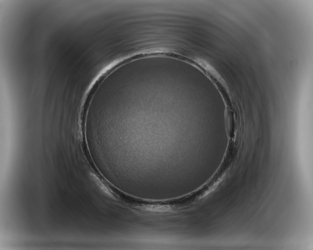 X0000086220789200704121856