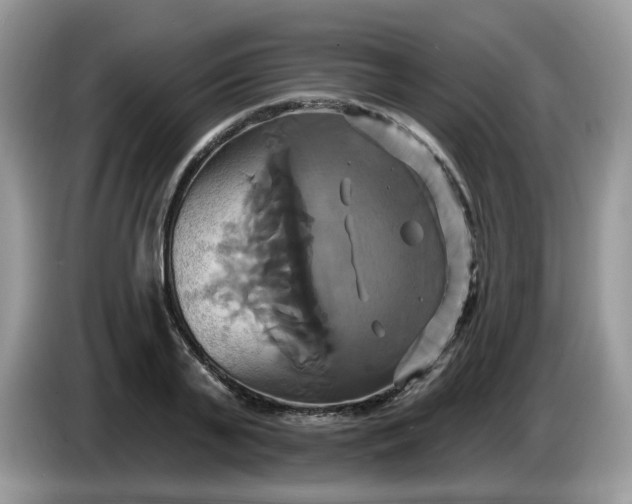 X0000086220791200704121856