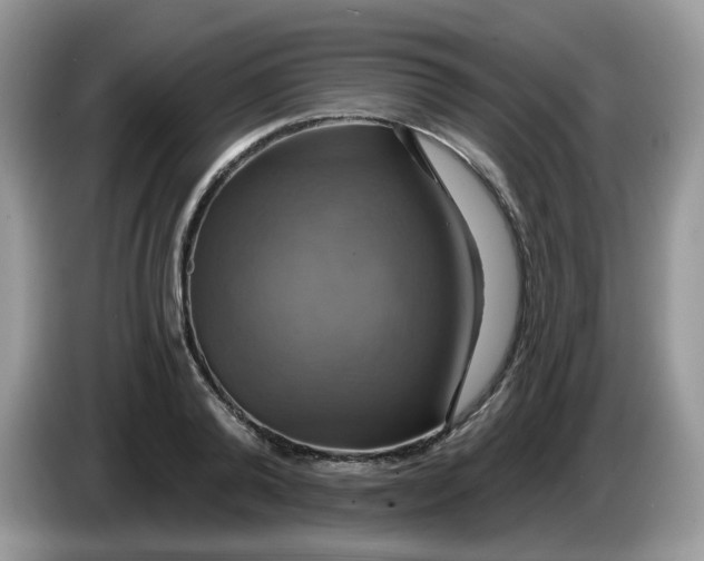 X0000086220792200704121856