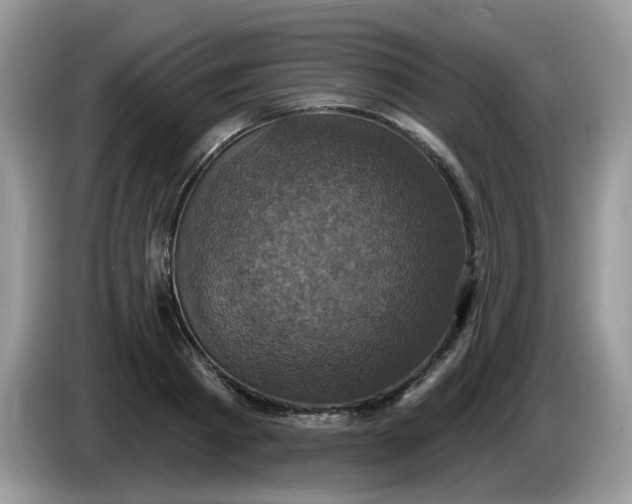 X0000086220793200704121856