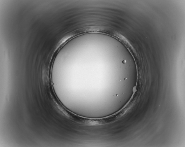 X0000086220794200704121856