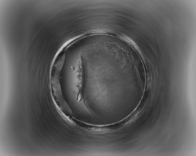 X0000086220795200704121856