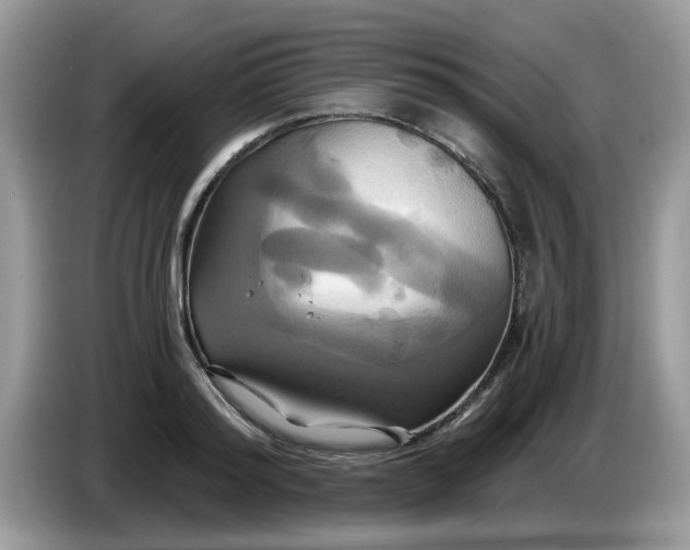 X0000086220796200704121856