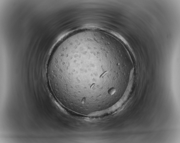 X0000086220799200704121856