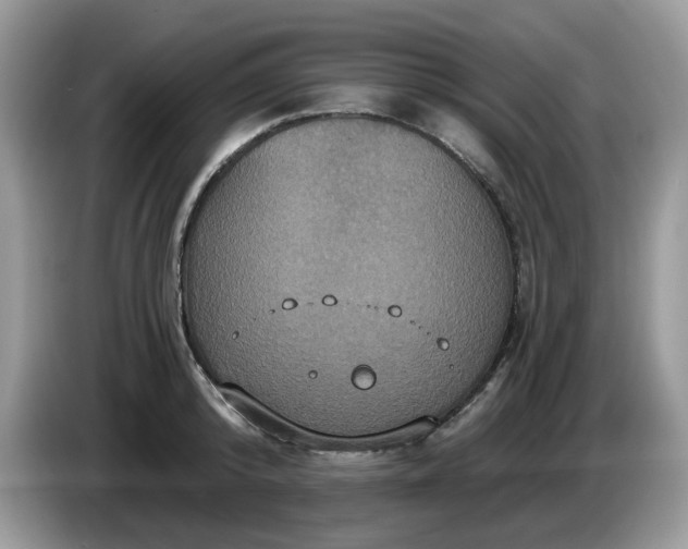 X0000086220800200704121856