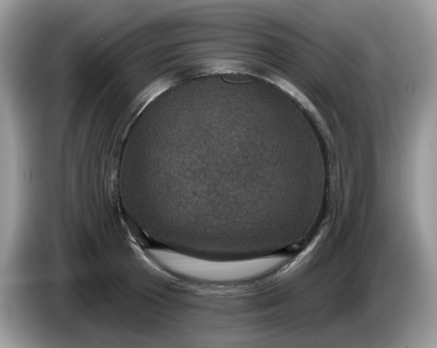 X0000086220801200704121856