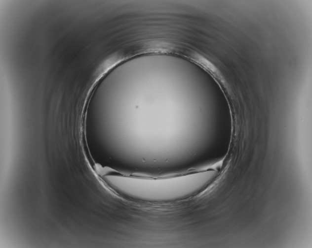 X0000086220802200704121856