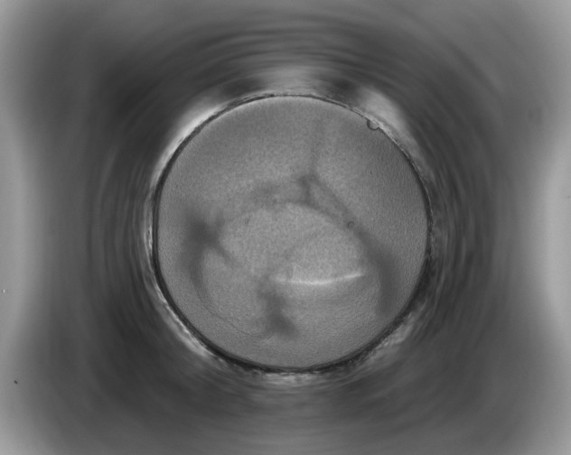 X0000086220804200704121856